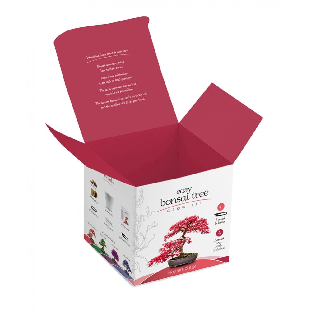 Bonsai Kit Gift Set – Grow Your Own Bonsai! (4 Trees)
