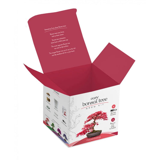 Bonsai Kit Gift Set – Grow Your Own Bonsai! (4 Trees)