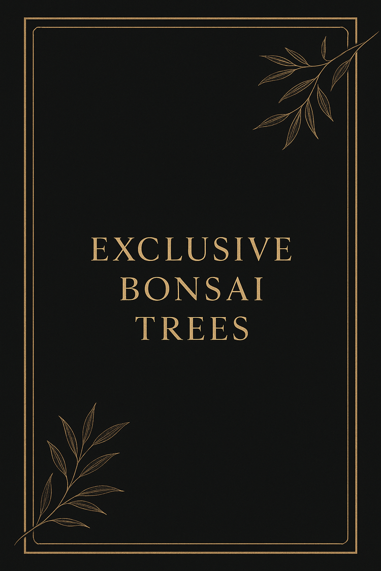 Exclusive Bonsai Trees