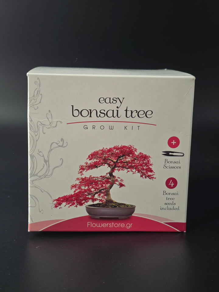 Bonsai Gifts & Starter Kits