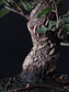 Close-up of the Cork Oak's thick, corky, deeply fissured trunk above dark soil.