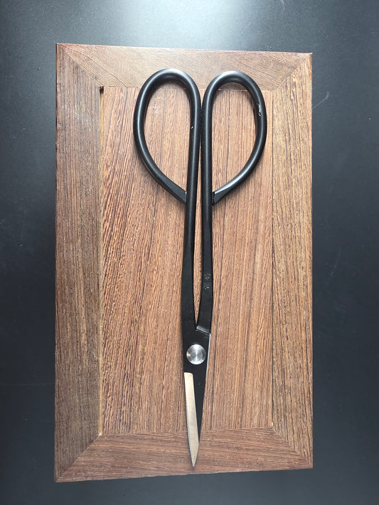 Black bonsai pruning scissors with loop handles and long narrow pointed blades, laid flat on a wooden board