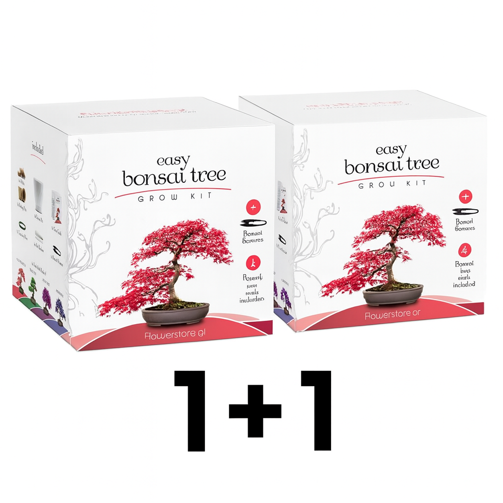 [-40% OFF] 1+1 Bonsai Kit Gift Set – Grow Your Own Bonsai! (4 Trees)