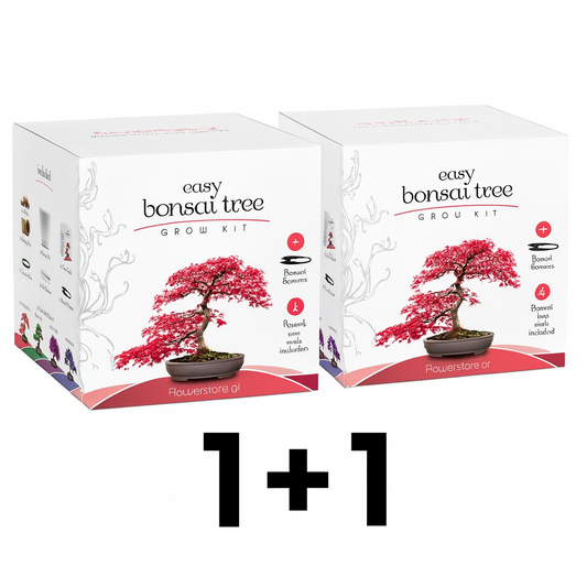 [-40% OFF] 1+1 Bonsai Kit Gift Set – Grow Your Own Bonsai! (4 Trees)