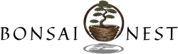 Bonsai Nest