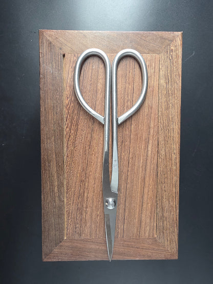 Silver bonsai pruning scissors with loop handles and long narrow pointed blades, laid flat on a wooden board