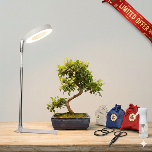 WINTER BONSAI BUNDLE – Tree of Choice + LED Grow Light + Starter Toolkit (~20% OFF)