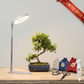 WINTER BONSAI BUNDLE – Tree of Choice + LED Grow Light + Starter Toolkit (~20% OFF)
