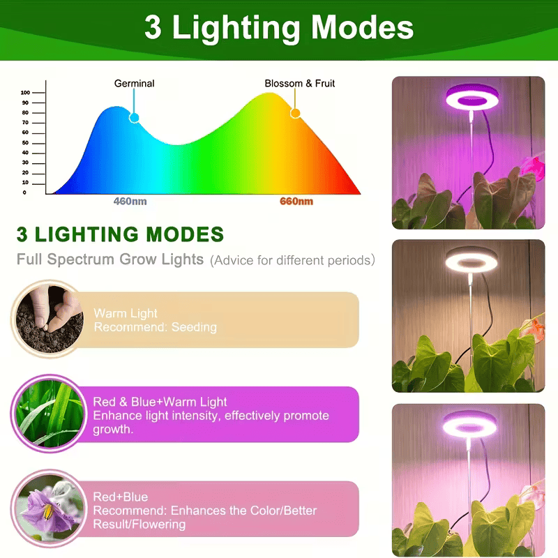bonsai tree desktop grow light LED Grow Lamp for Bonsai – Black & White